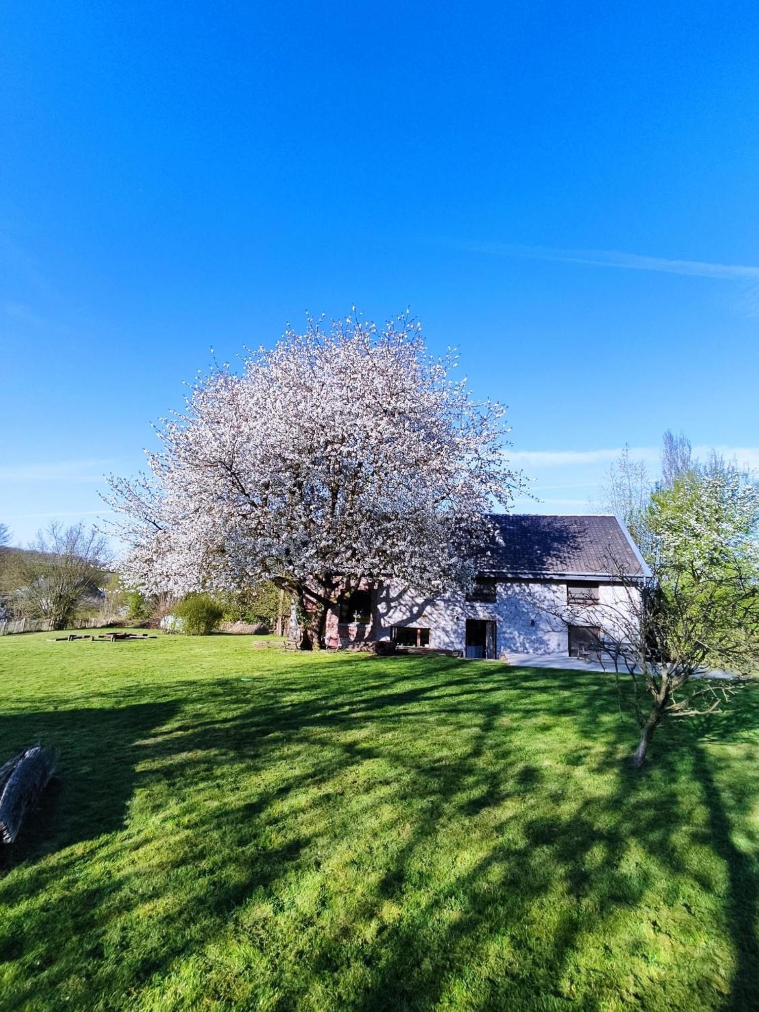 Gerestaureerde Hoeve Met Zicht Durbuy Ngoại thất bức ảnh